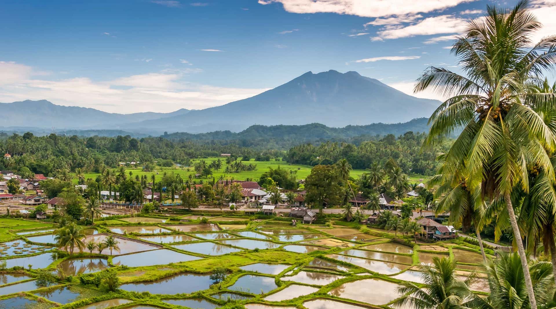 indonesia-bebaskan-visa-untuk-warga-brasil-dan-turki-dorong-wisata-dan-diplomasi